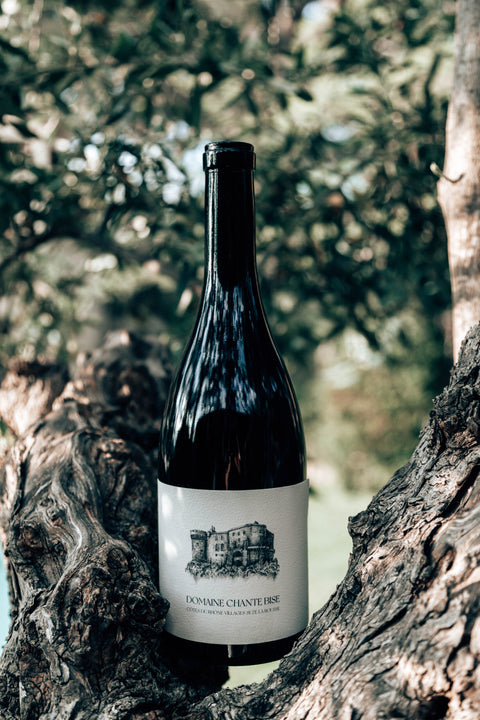 Vino Tinto Domaine Chante Bise 750ml