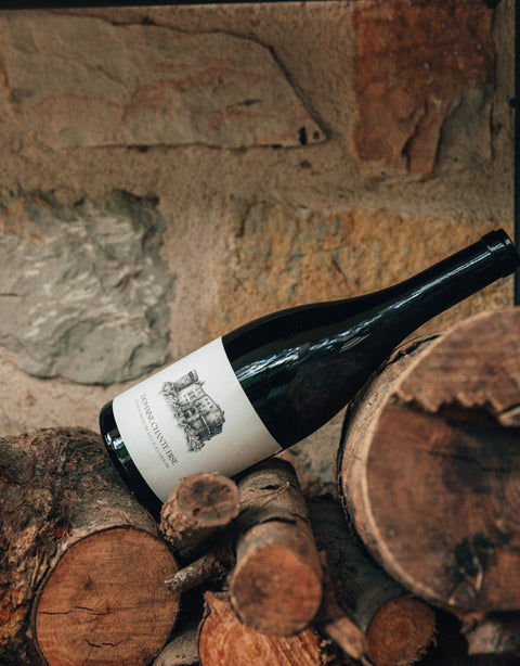 Vino Tinto Domaine Chante Bise 750ml