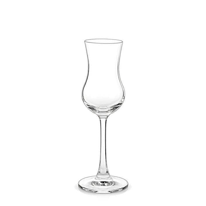 Set Copas Pisco x 6 pzas. · Fondo blanco