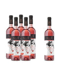 Vino Dizeres Rosé x6 - Pack · Fondo blanco