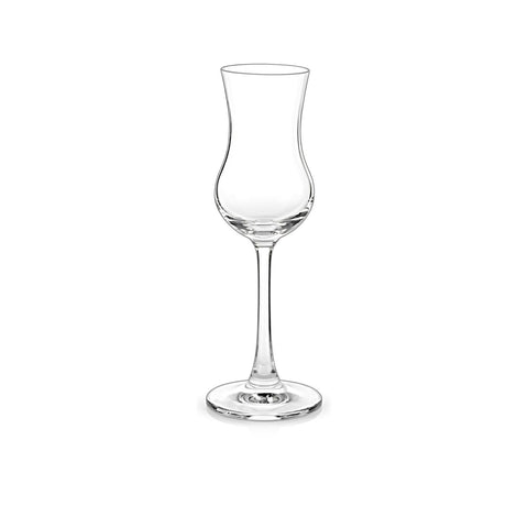 Set Copas Pisco x 6 pzas. · Fondo blanco