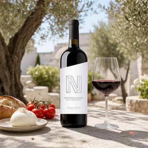 Vino Tinto Negroamaro Salento 750 ml · Lifestyle