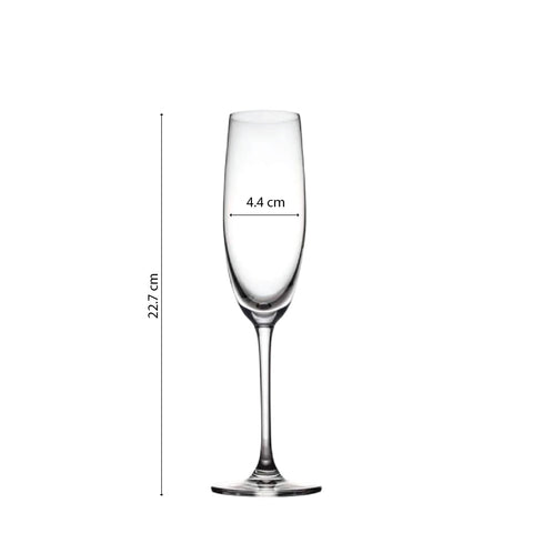 Set Copa Champagne Classic (Cristal) x 6 pzas.