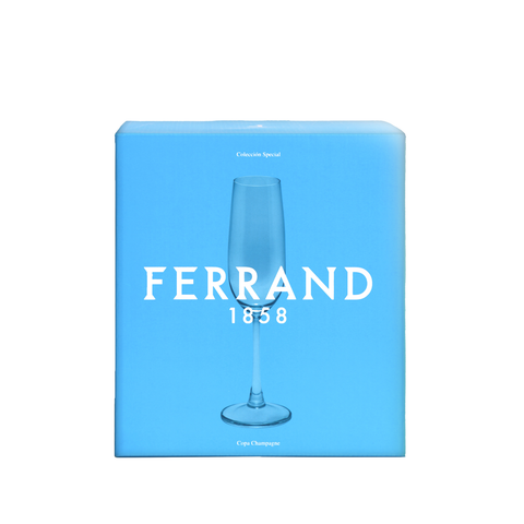 Set Copa Champagne Special x 6 pzas