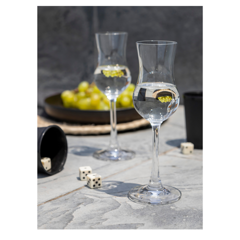 Set Copas Pisco x 6 pzas.